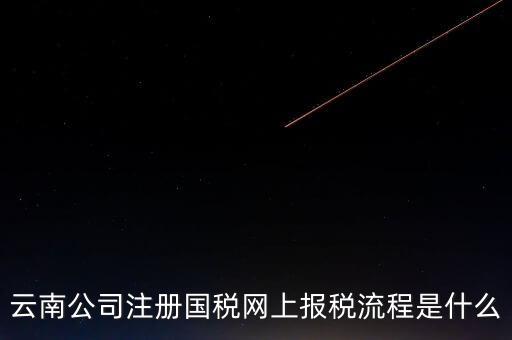 云南公司注冊國稅網上報稅流程是什么