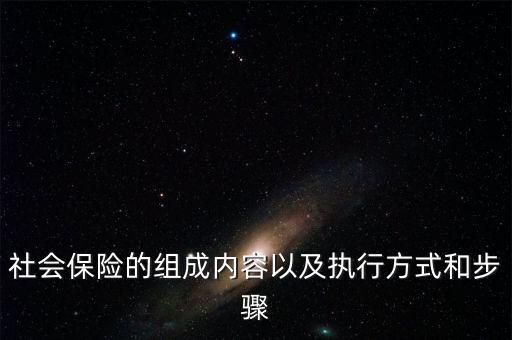 社會保險的組成內容以及執(zhí)行方式和步驟