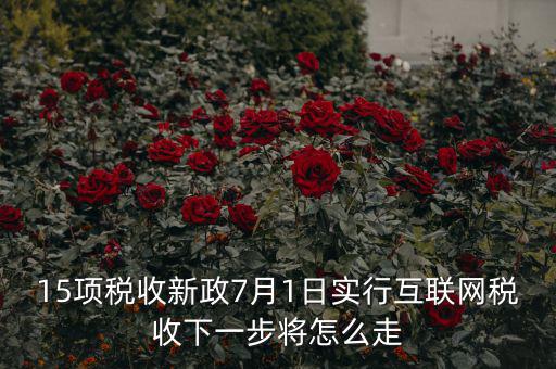 15項稅收新政7月1日實行互聯網稅收下一步將怎么走