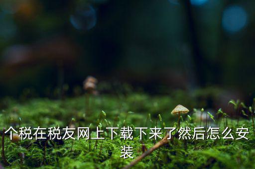 個稅在稅友網上下載下來了然后怎么安裝