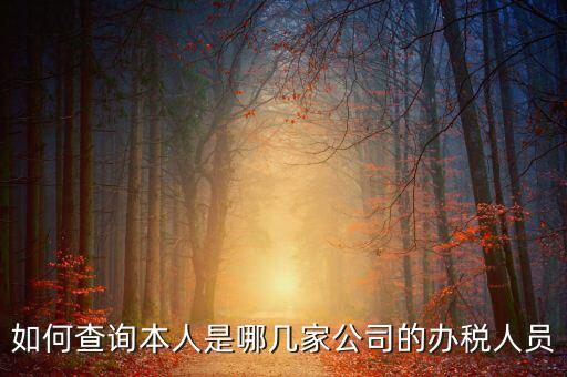 如何查詢企業辦稅人信息，怎么查詢單位登記稅務經辦人