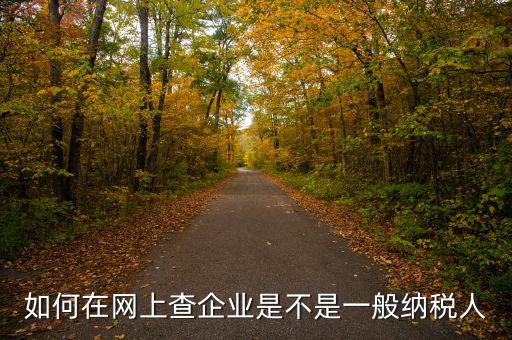 如何在網上查企業是不是一般納稅人