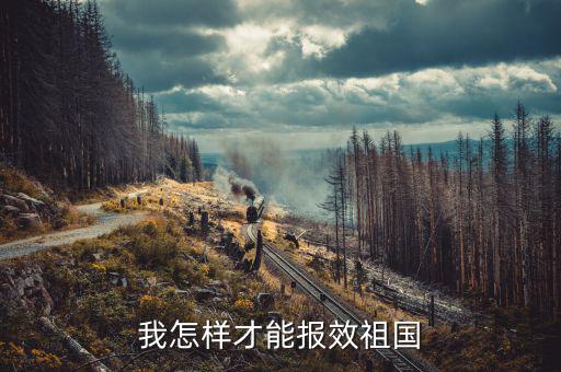 開的稅如何報效，報效祖國最好的辦法是什么