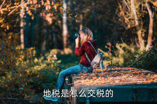 吉林市地稅如何收取，國地稅怎么收