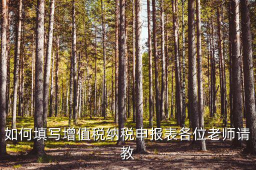 增值稅納稅申報表如何填報，增值稅申報表如何填寫