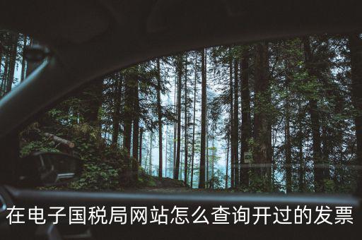 如何查詢(xún)電子發(fā)票信息，在電子國(guó)稅局網(wǎng)站怎么查詢(xún)開(kāi)過(guò)的發(fā)票