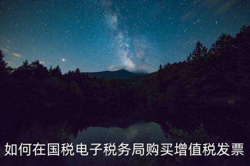 電子稅務局如何繳銷發票，如何在國稅電子稅務局購買增值稅發票