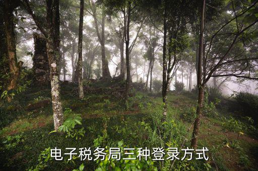 遼寧省網上稅務局如何登錄，可以用手機登陸遼寧省電子稅務局嗎