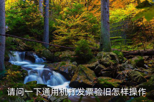 請問一下通用機打發票驗舊怎樣操作
