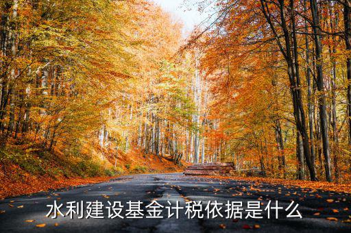 長春市水利建設基金如何計稅，水利建設基金計稅依據是什么