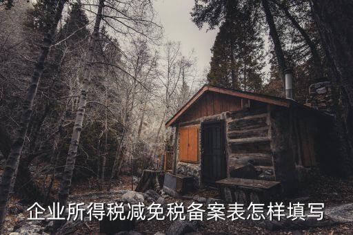 企業所得稅減免稅備案表怎樣填寫