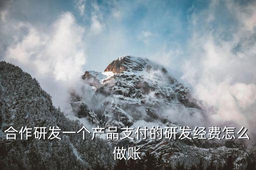 合作研發(fā)一個產品支付的研發(fā)經費怎么做賬