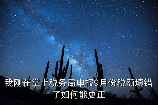 稅務如何更正申報，我剛在掌上稅務局申報9月份稅額填錯了如何能更正