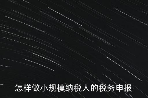 怎樣做小規模納稅人的稅務申報