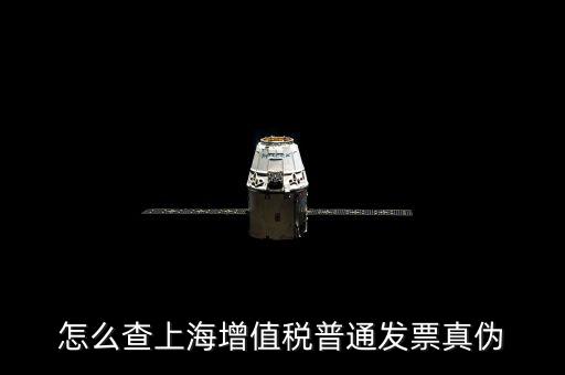 上海增值稅普通發票如何查詢真偽查詢，上海的增值稅在哪里查詢真偽