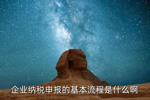 施工企業如何申報稅，企業納稅申報的基本流程是什么啊