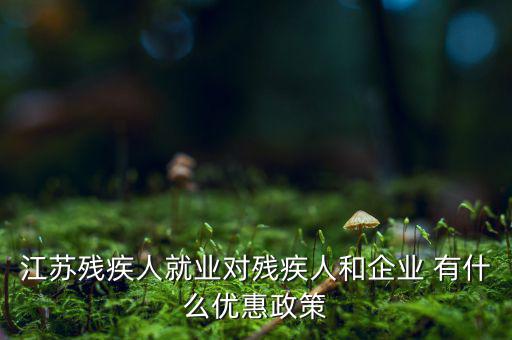 江蘇殘疾人就業對殘疾人和企業 有什么優惠政策