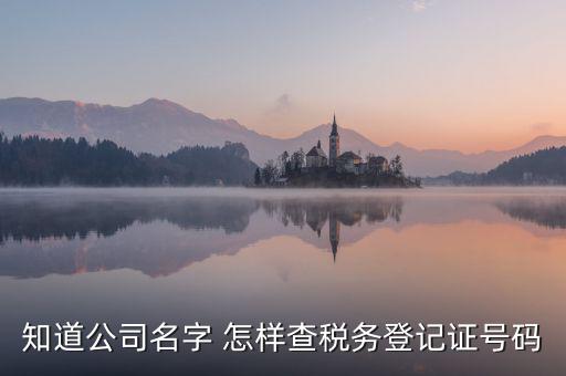 公司國稅編號如何查詢系統，公司的稅務登記證號怎么查詢