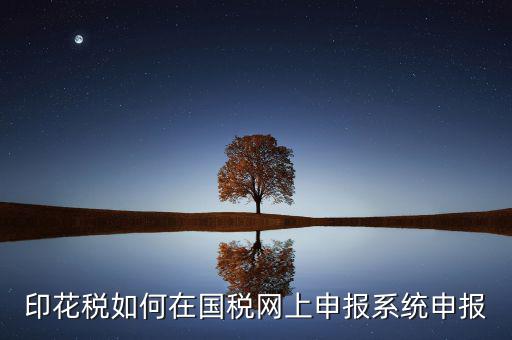 如何在網上申報安徽印花稅，如何在網上進行印花稅的申報和繳納