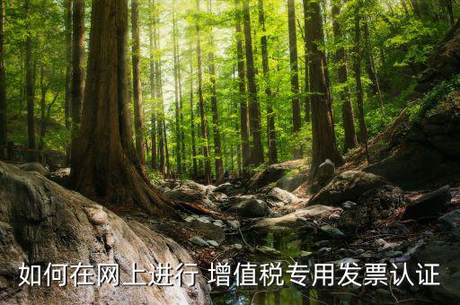 增值稅專用票如何在網上申請，購買增值稅專用發票要先在網上怎么操作