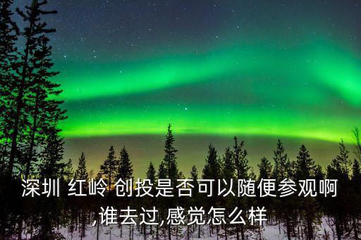 紅嶺創投實力怎么樣,點對點借貸平臺分為兩個產品