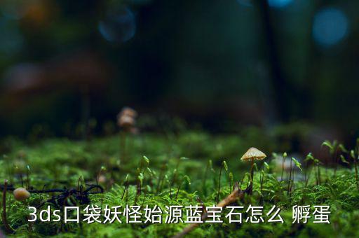 淘寶上社區里怎么孵蛋,3周目精靈島孵蛋攻略!