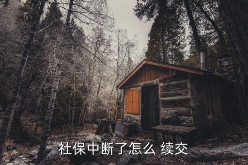 社保中斷了怎么 續交
