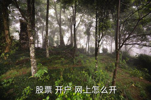 網上怎么股票開戶,證券交易所網上開戶步驟如下