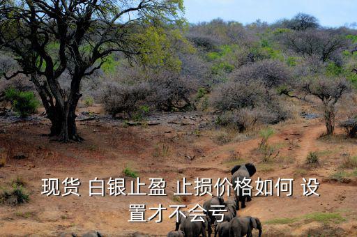  現貨 白銀止盈 止損價格如何 設置才不會虧