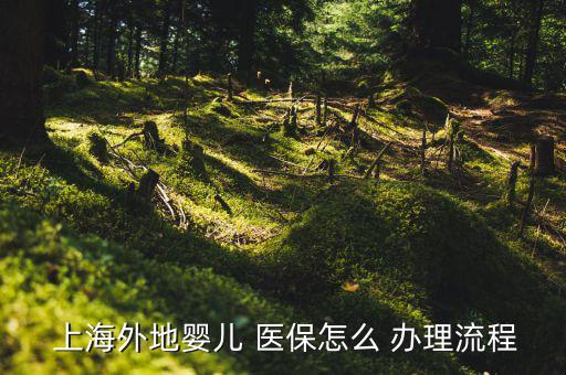  上海外地嬰兒 醫保怎么 辦理流程