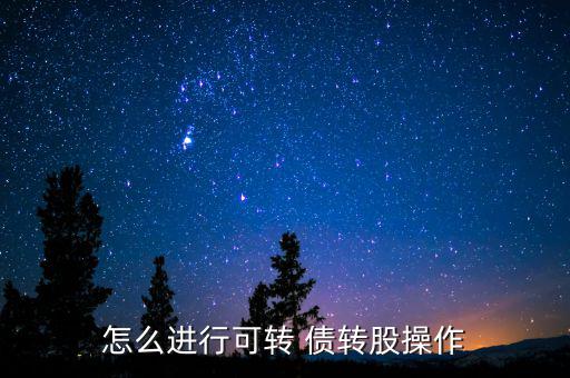 怎么進行可轉 債轉股操作