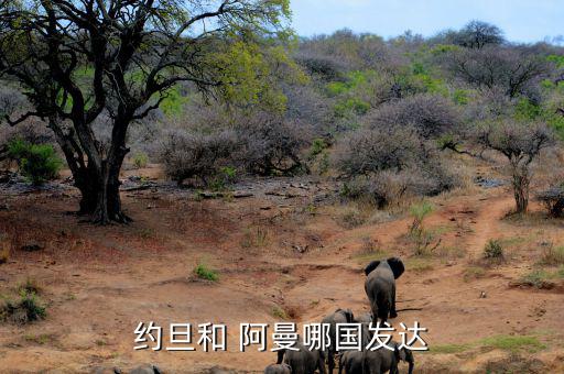 約旦和 阿曼哪國發達