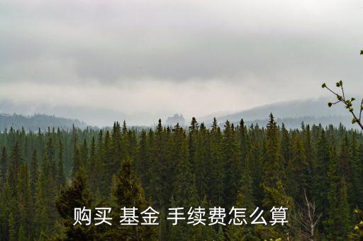 購買 基金 手續費怎么算