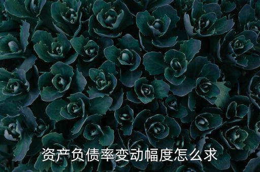 資產負債率變動幅度怎么求