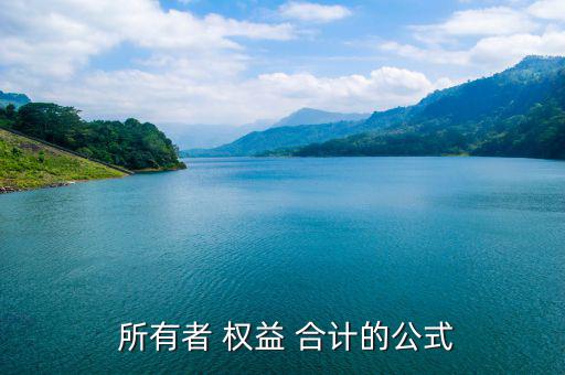  所有者 權益 合計的公式