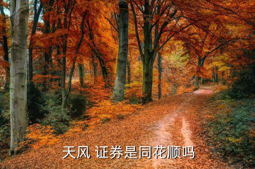 武漢天風證券怎么樣,天風證券不是同花順而是證券行業龍頭