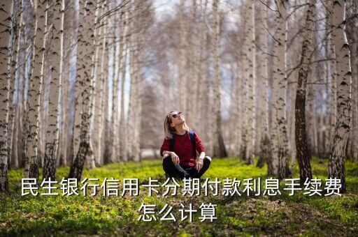  民生銀行信用卡分期付款利息手續費怎么計算