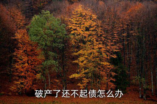  破產了還不起債怎么辦