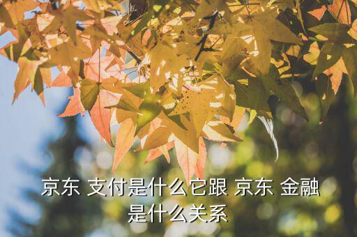  京東 支付是什么它跟 京東 金融是什么關系