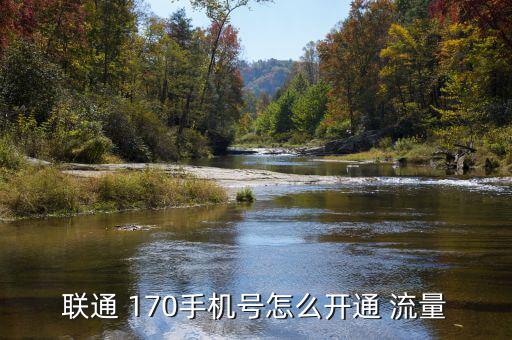 聯通 170手機號怎么開通 流量