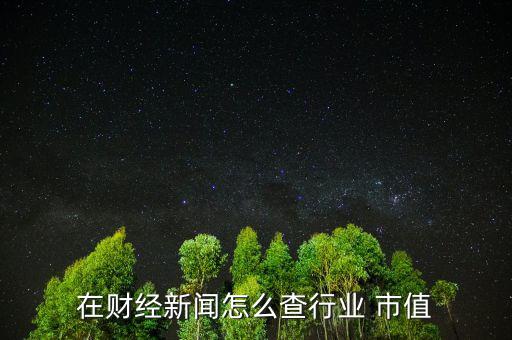 在財經新聞怎么查行業(yè) 市值