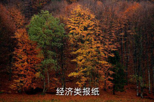  經濟類報紙