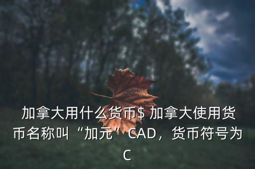 加拿大元怎么樣,加拿大銀行發行6種系列紙幣