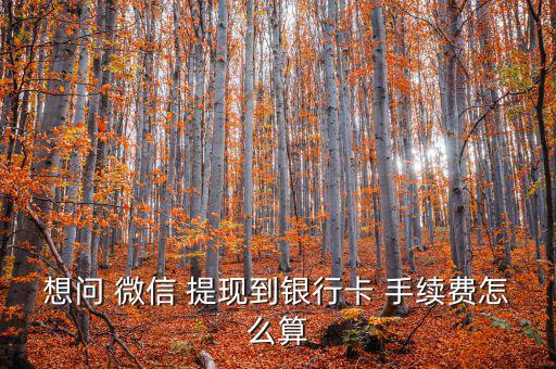 想問 微信 提現到銀行卡 手續費怎么算