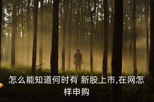 怎么知道新股發行時間,新股申購系統提供三種方式呈現申購信息