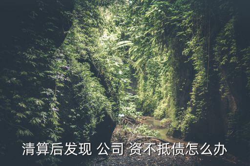 清算后發現 公司 資不抵債怎么辦