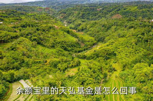 天弘季加利怎么買,余額寶同名貨幣基金田弘基金是基金經理