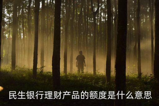 民生銀行并購貸款怎么做,民生銀行網銀對賬操作如下