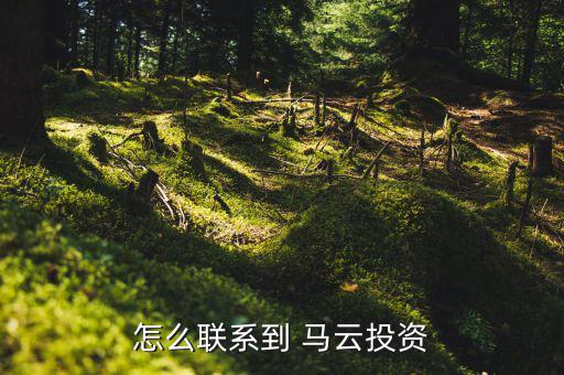 怎么像馬云貸款,沒(méi)有馬云時(shí)代，只有錢花時(shí)代怎么找投資人?