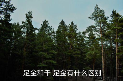  足金和千 足金有什么區別